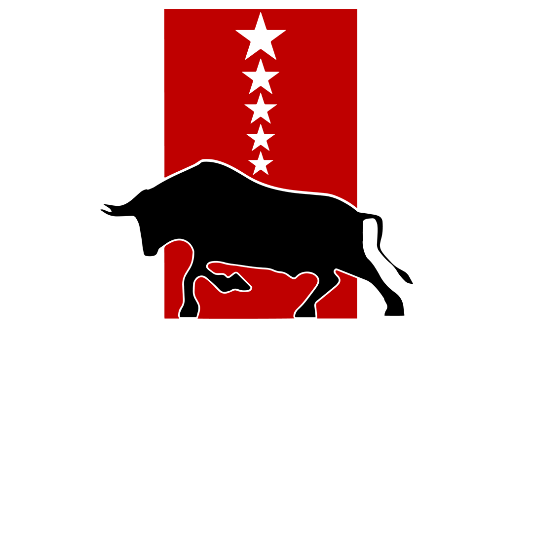 Main Logo